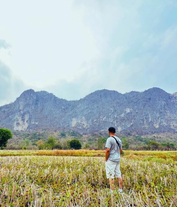 547022282_122108250626993851_7653039319532025026_n